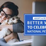 Celebrate with Pets