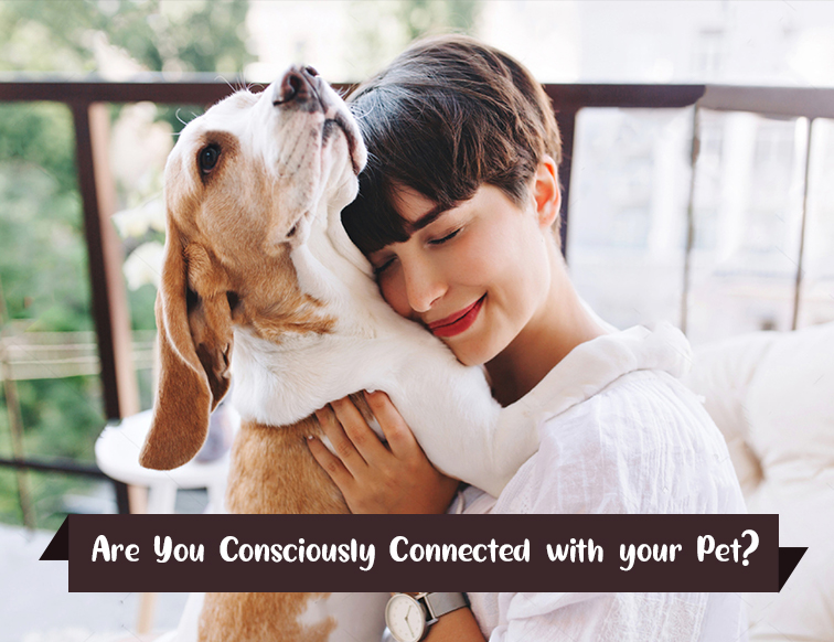 Connection with your Pet
