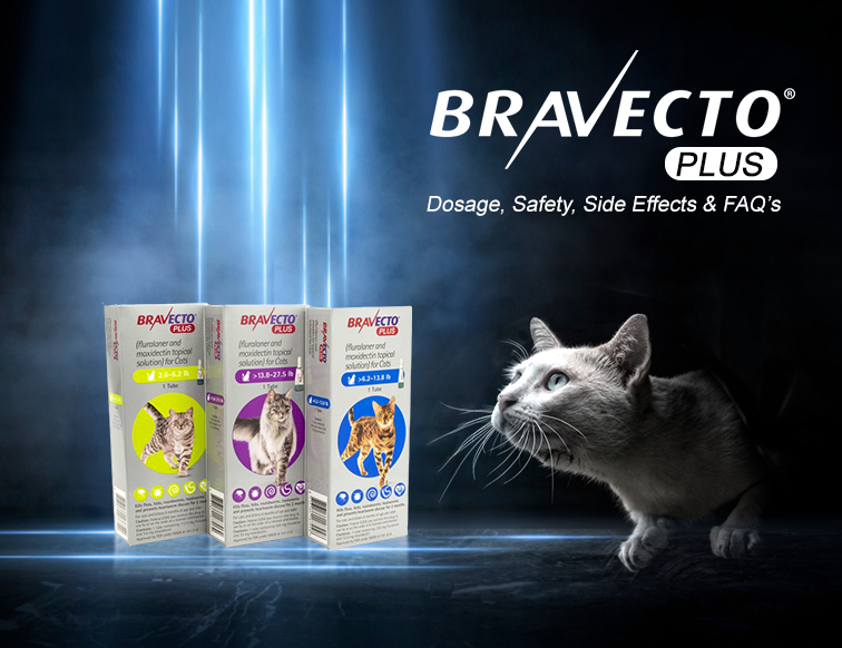 Bravecto Plus for Cats: Dosage, Safety, Side Effects and FAQ’s