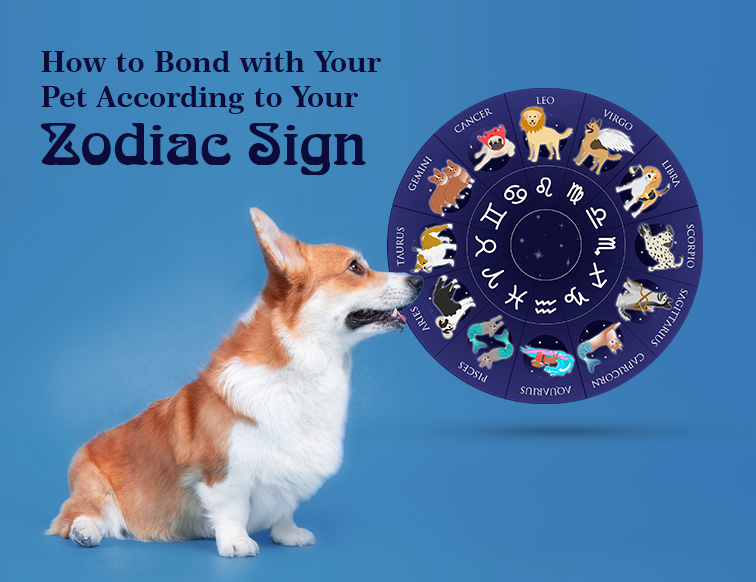 How to Bond with Your Pet According to Your Zodiac Sign