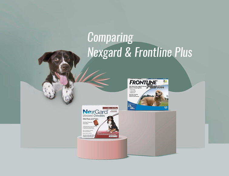 Comparing Nexgard And Frontline Plus