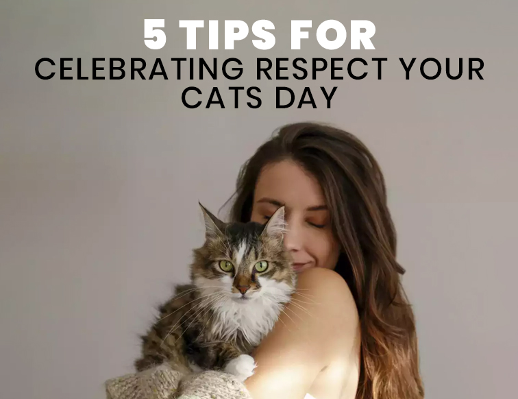 5 Tips for Celebrating Respect Your Cats Day