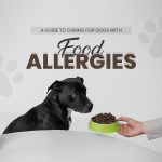 Dog Care