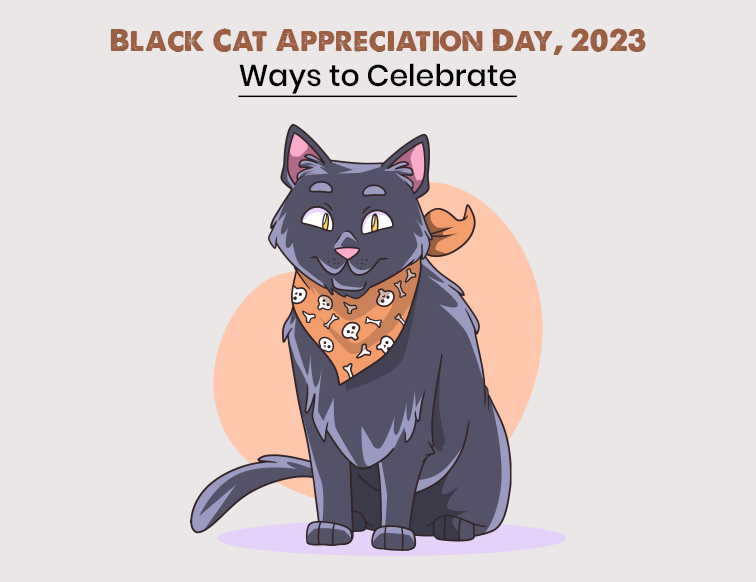 Black Cat Appreciation
