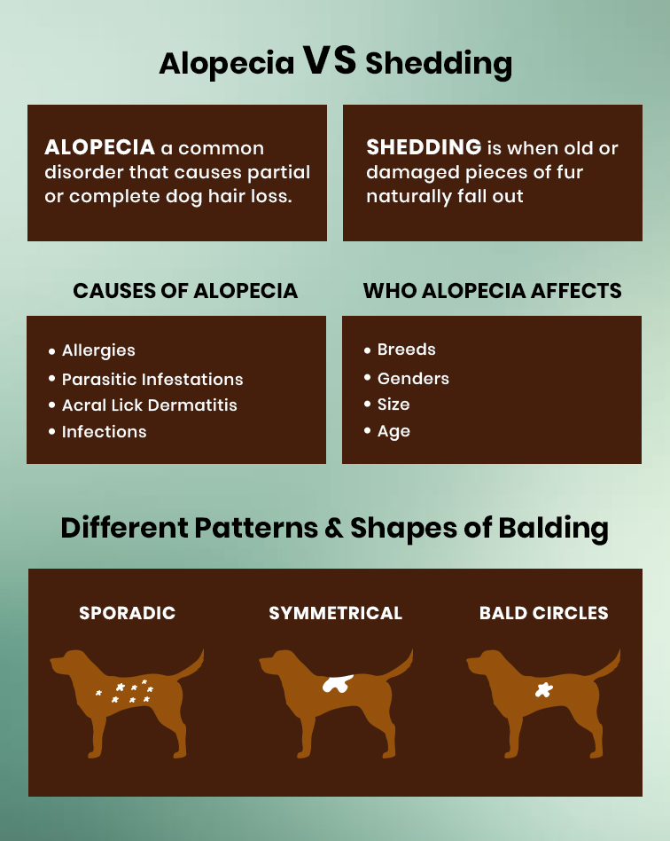 Alopecia and shedding
