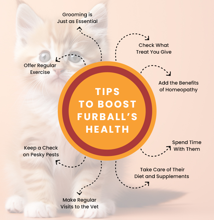 Tips for boost your pet health