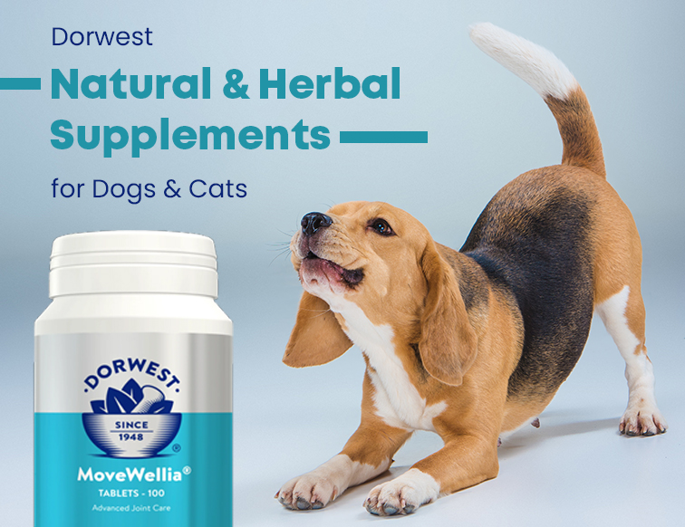 Dorwest Natural & Supplements for Dogs & Cats