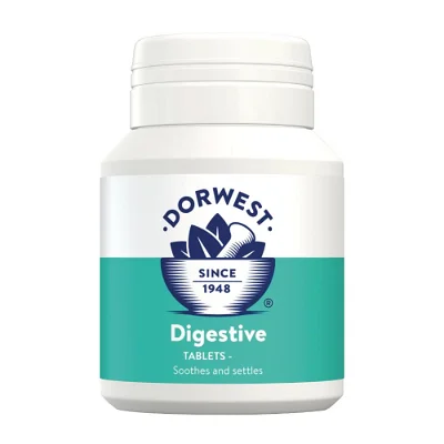 Digestive Tablets for Upset Stomachs