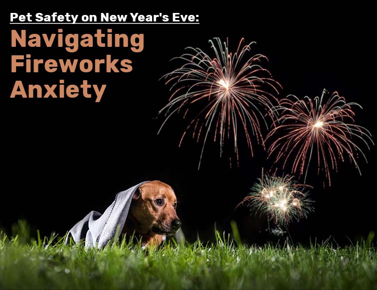 Pet Safety on New Year's Eve