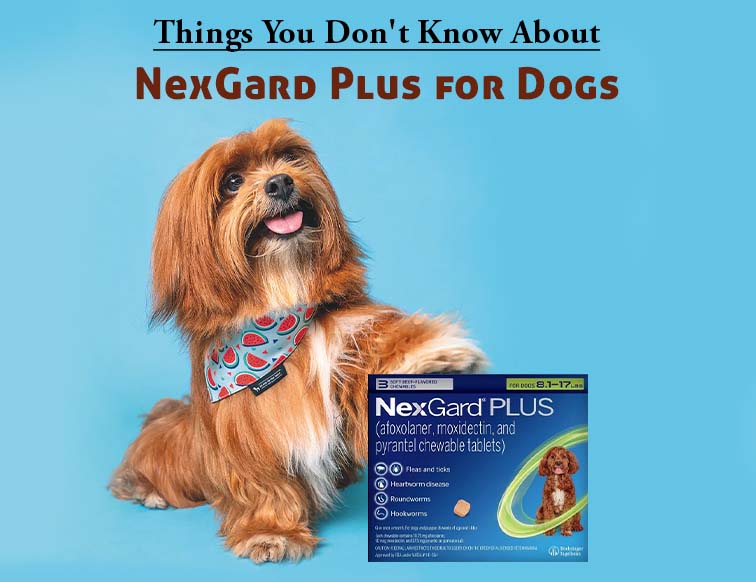 Nexgard Plus for Dogs