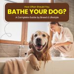 Dog Care