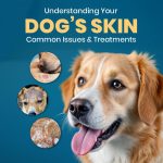Dog Care