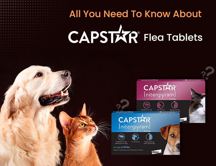 All You Need To Know About Capstar Flea Tablets Cat Empire