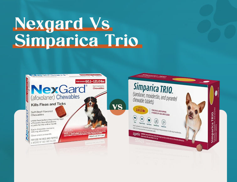 Nexgard vs Simparica Trio