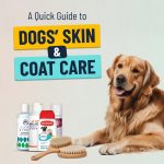 Dog Care