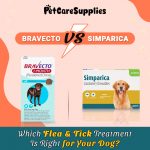 Simparica vs Bravecto: Which Flea & Tick Treatment Is Right for Your Dog? Dog Care