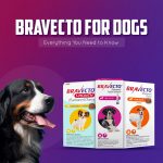 Dog Care