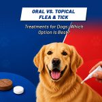 Oral vs. Topical Flea & Tick Treatments for Dogs: Which Is Best? Dog Care